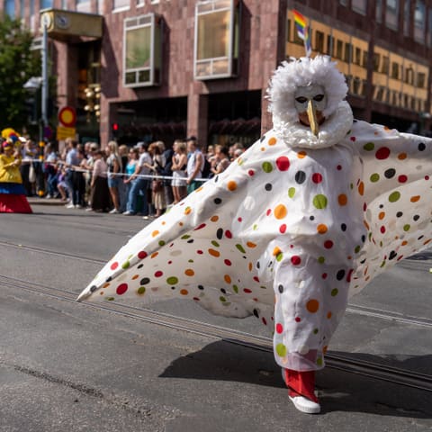 Foto av Daniel Zajd