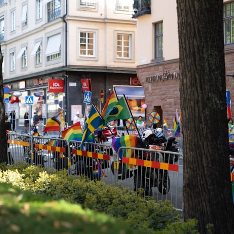 Foto av Patrick Skog