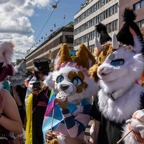 Foto av Anna Rydén