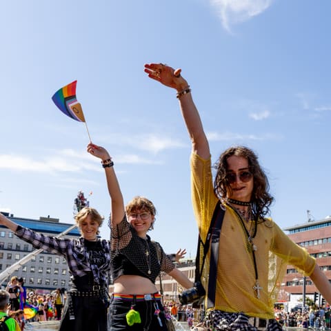 Foto av Mikael Lövholm