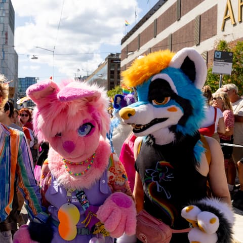 Foto av Mikael Lövholm